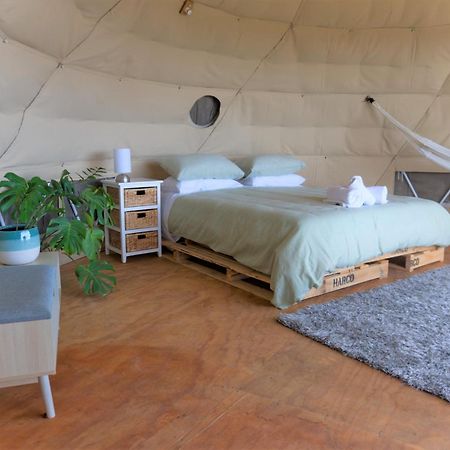 1 Waipu Off-Grid Eco Seaview Geodesic Glamping Dome Hotell Exteriör bild